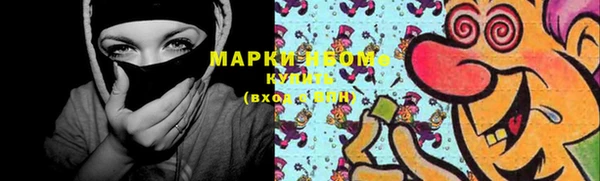 гидропоника Алзамай