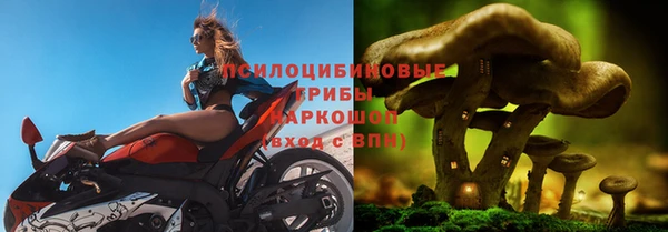 гидропоника Алзамай